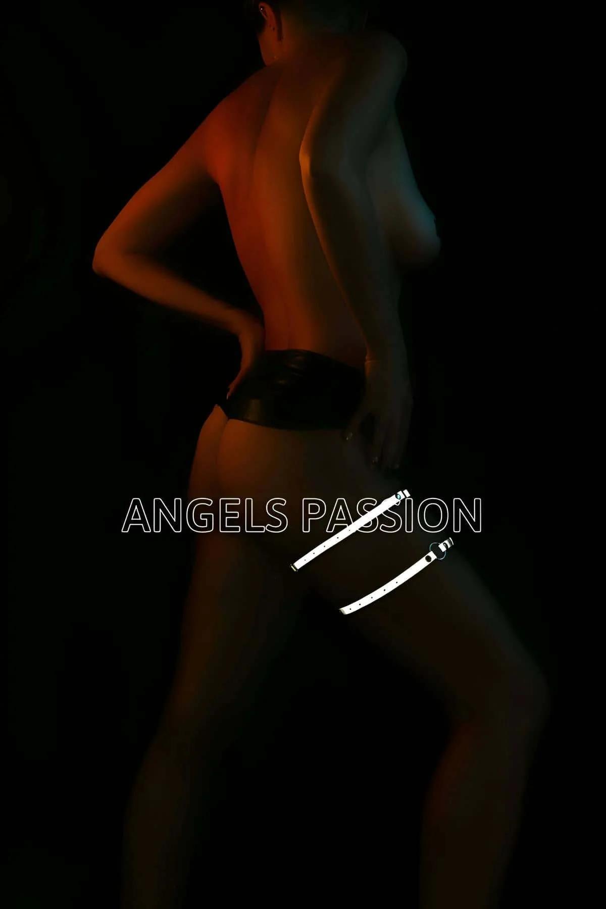 Reflective O-Ring Body Harness