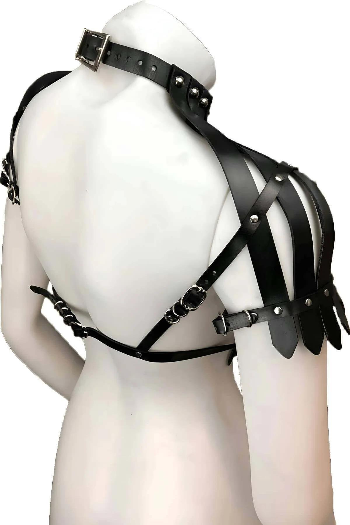 Adjustable No-Pull Dog Chest Harness for Training & Walks