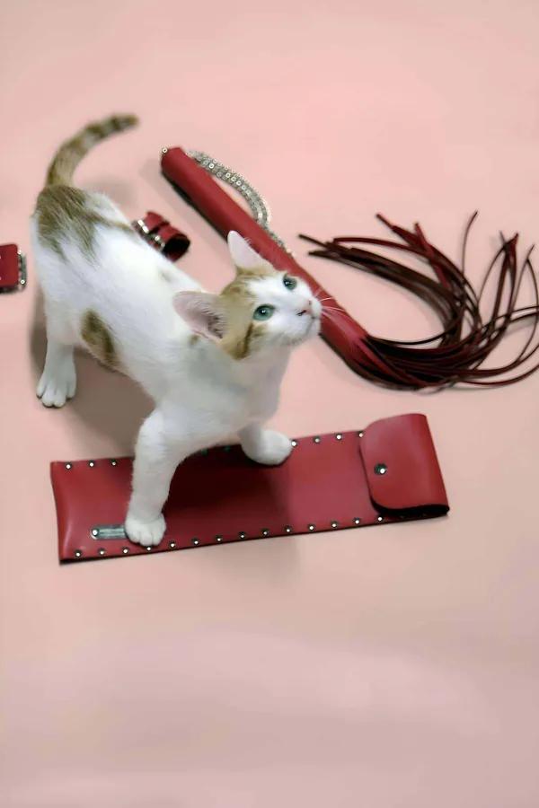 Red Leather Whip and Adjustable Cuffs Set for Couples