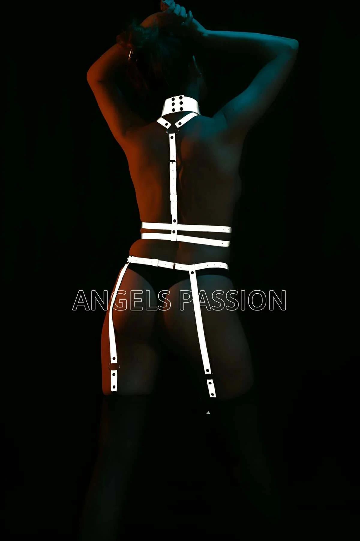 Reflective Body Harness Set with Adjustable Straps & Leash