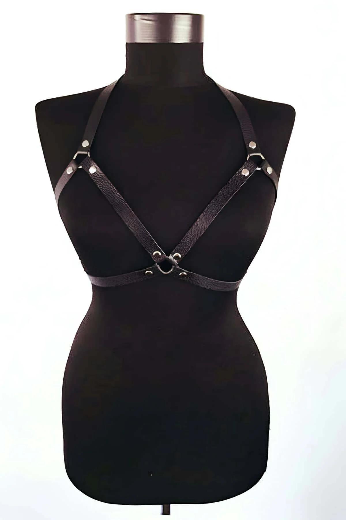 No-Pull Adjustable Dog Harness for All Breeds, All Sizes
