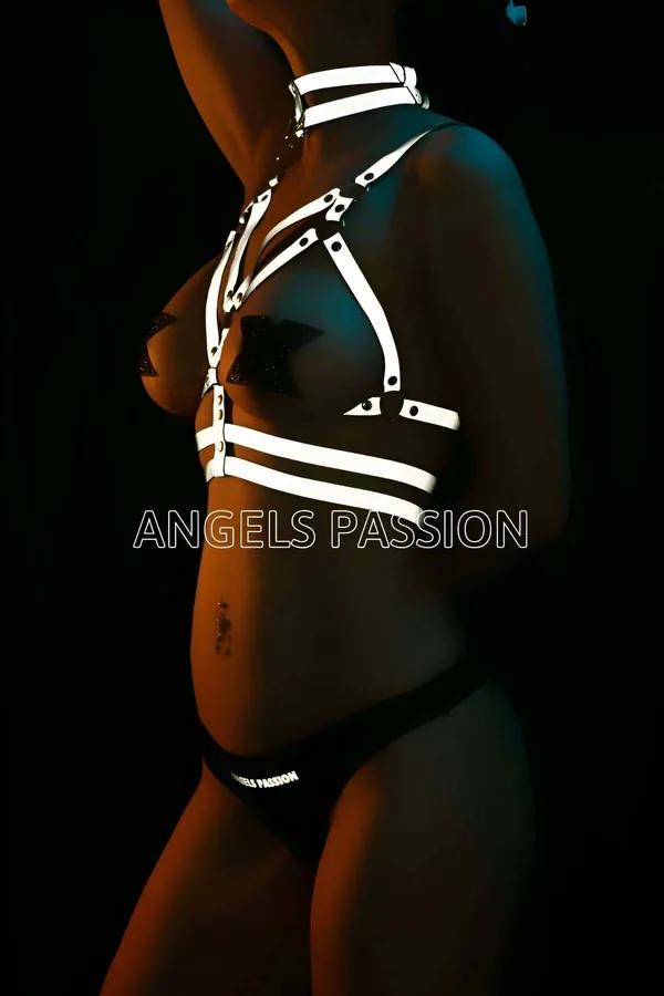 Reflective Chest Harness & Choker Set