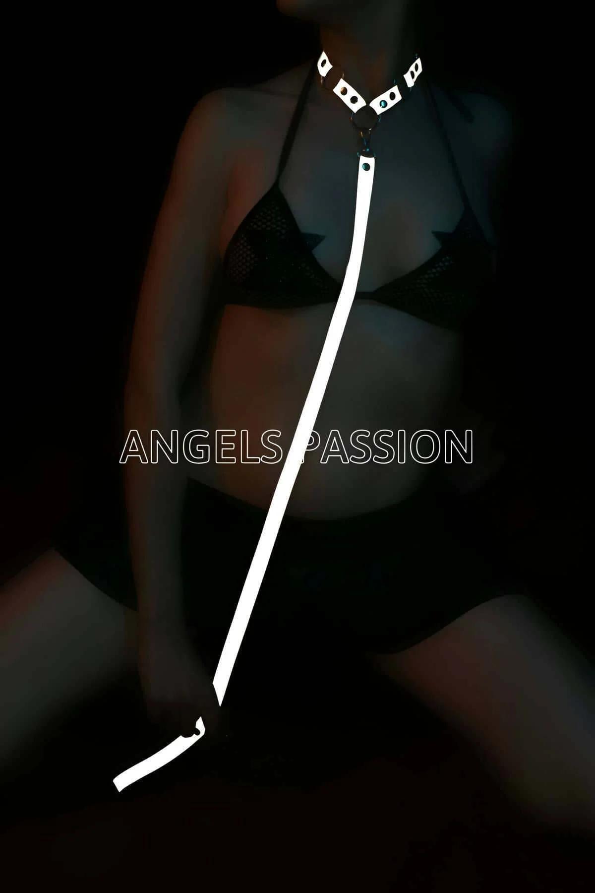 Reflective Choker Harness with Detachable Leash