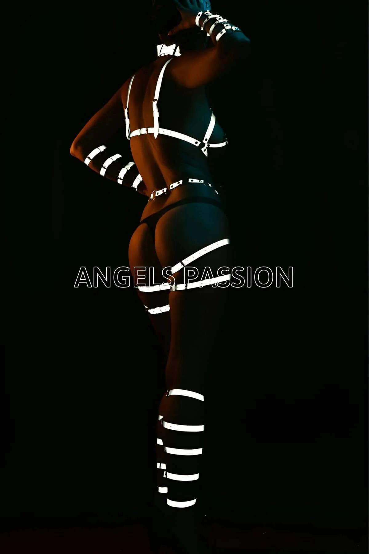 Reflective Body Harness Set – Adjustable Full Coverage