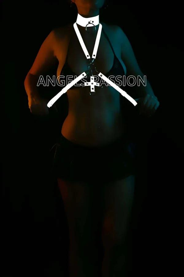 Reflective Chest Harness with Collar - Adjustable & Striking