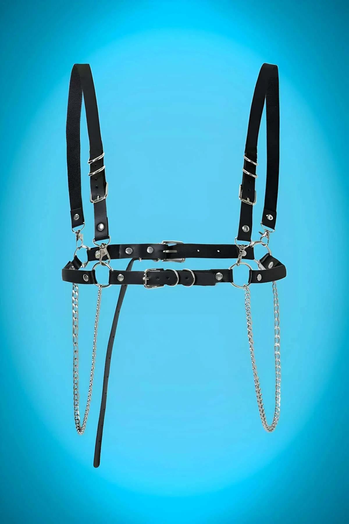 Premium No-Pull Dog Harness with Secure Ring Design & Adjustable Fit