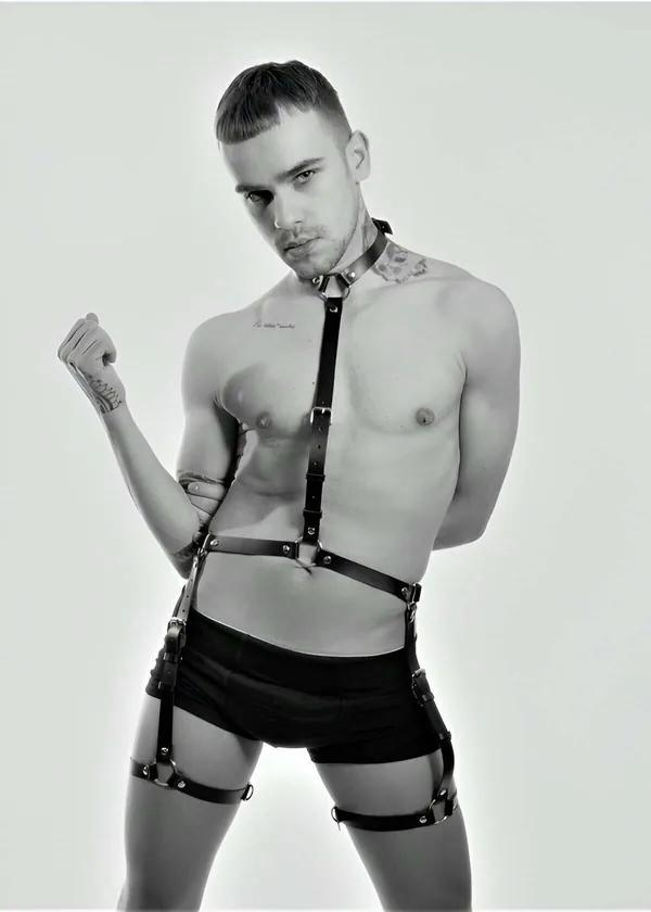 Full Body Harness with Thigh Straps and Collar