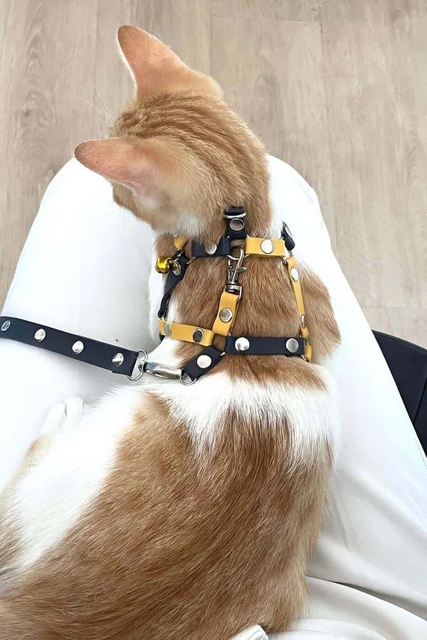 Cat Harness for Walking – Adjustable Faux Leather Leash Set