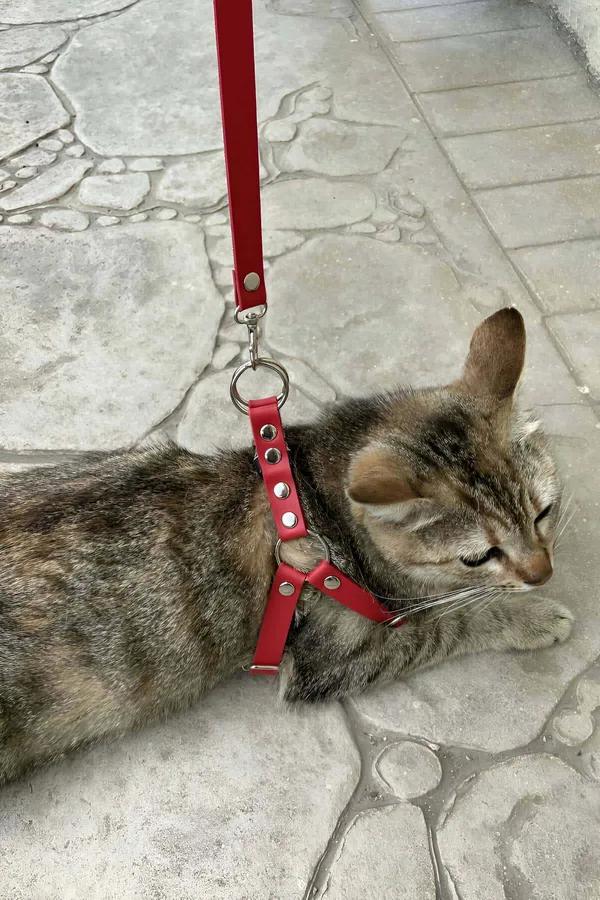 Adjustable Red Faux Leather Chest Harness with O-Ring
