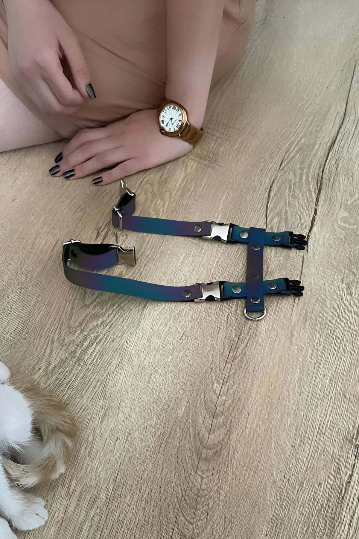 Rainbow Reflective Chest Harness with Adjustable Straps