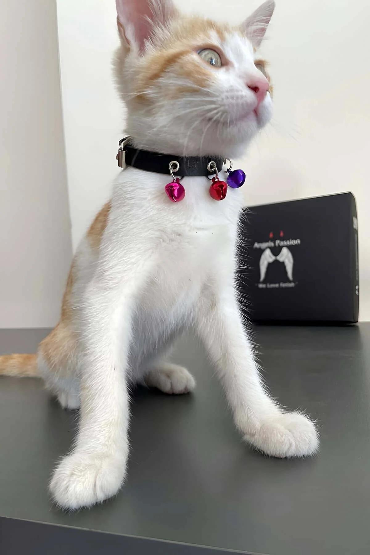 Faux Leather Choker Collar with Multi-Color Bell Charms