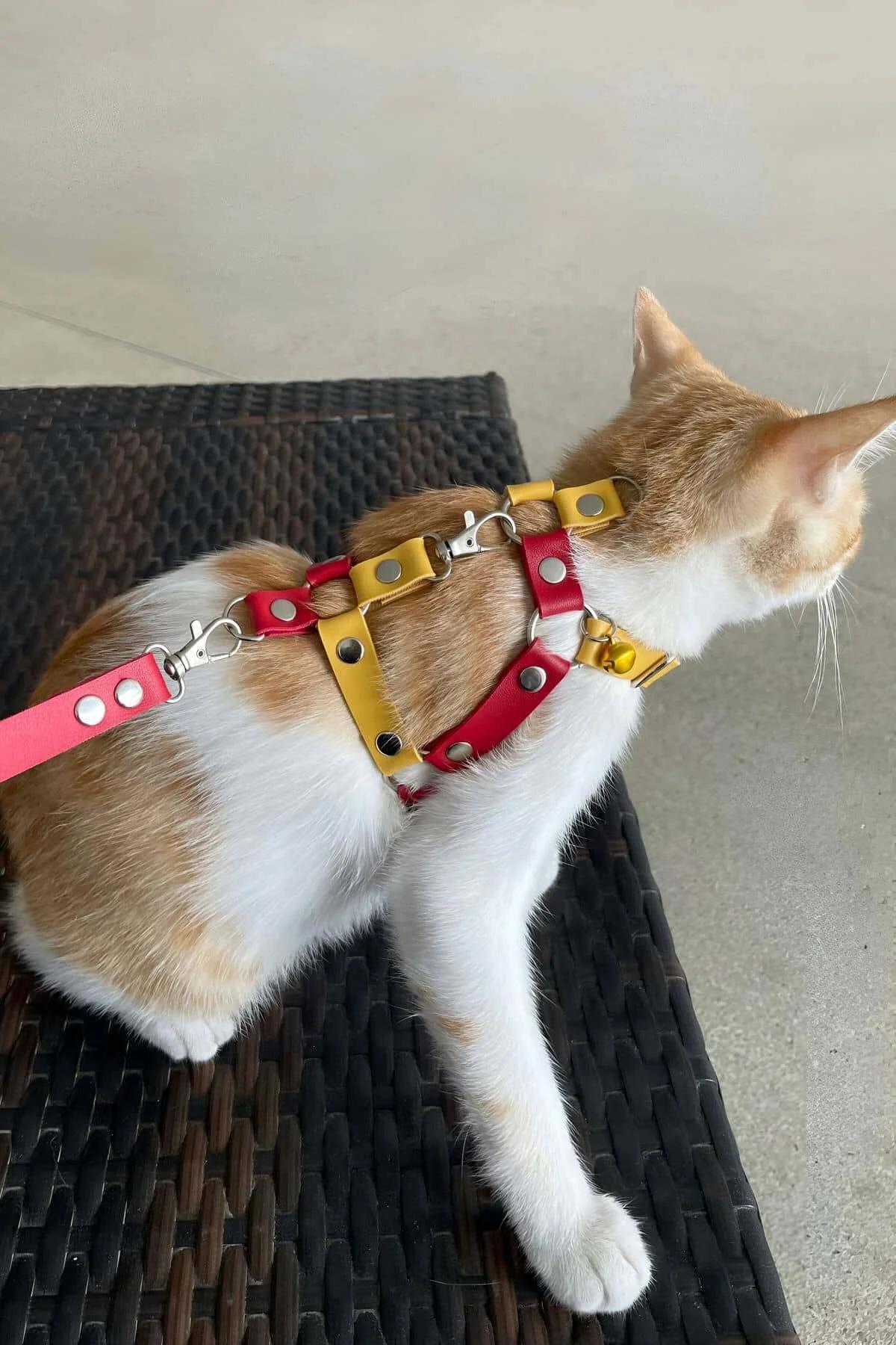 Cat Harness Adjustable Leather Leash Set for Safe Outdoor Walks