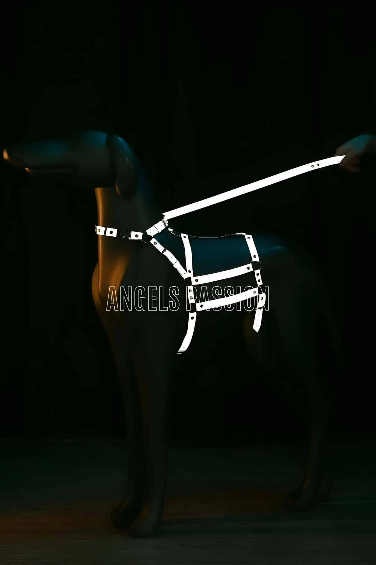 Reflective Dog Harness | Adjustable No-Pull Safety Design