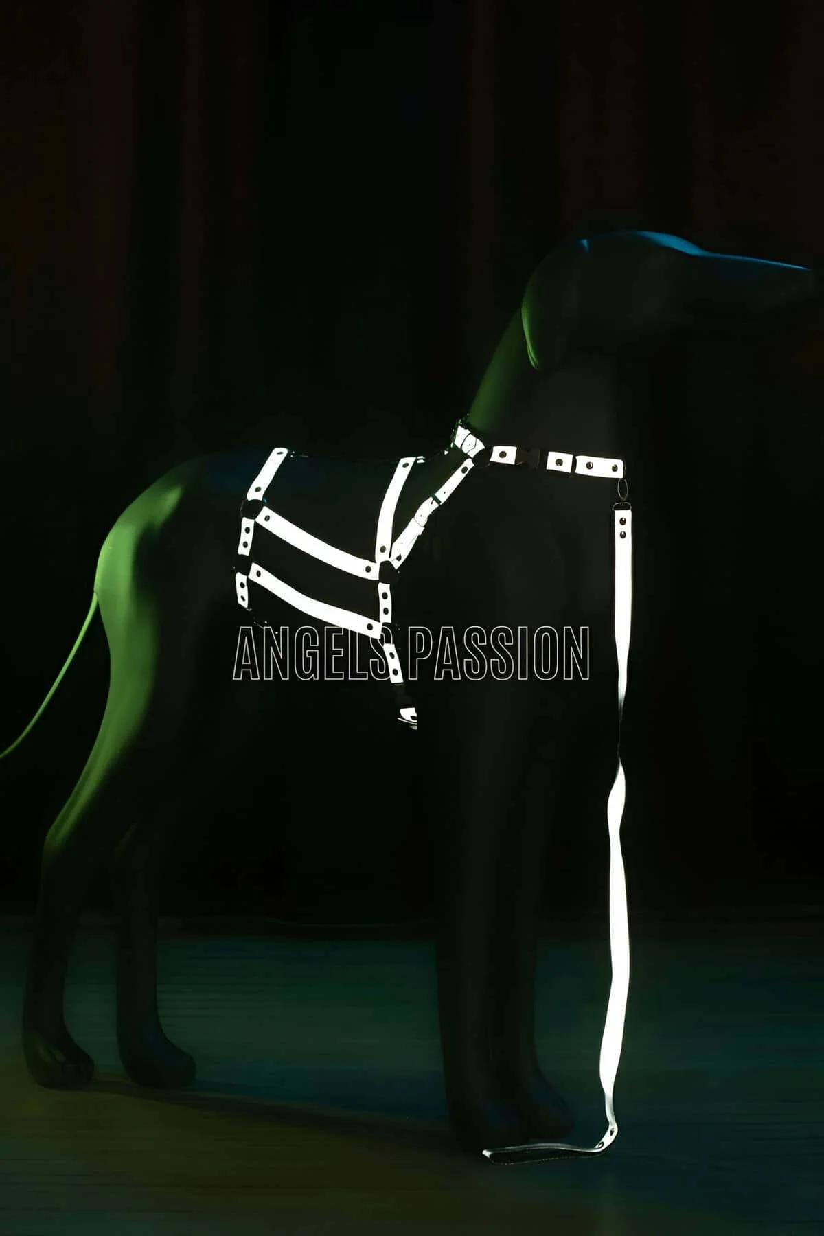 Reflective Dog Harness | Adjustable No-Pull Safety Design