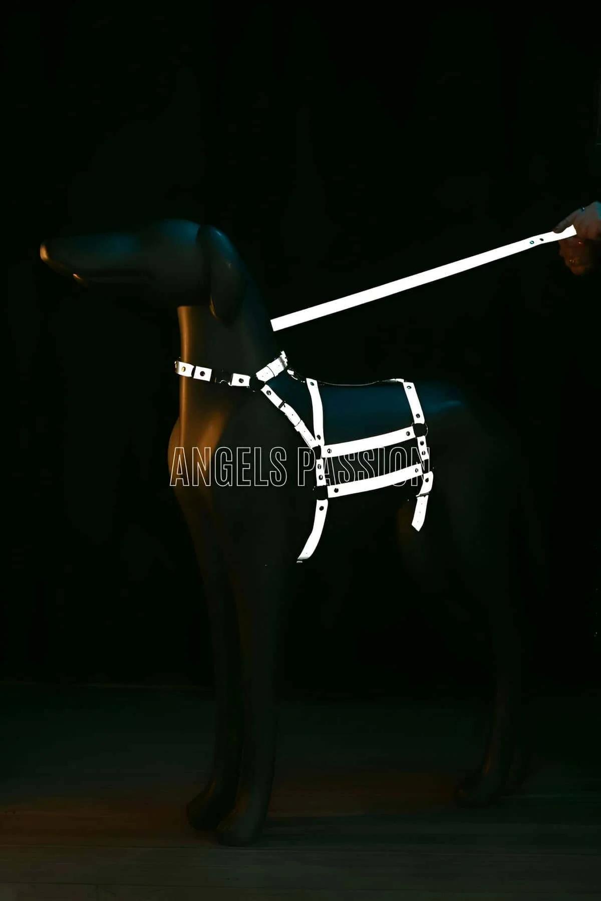 Reflective Dog Harness | Adjustable No-Pull Safety Design