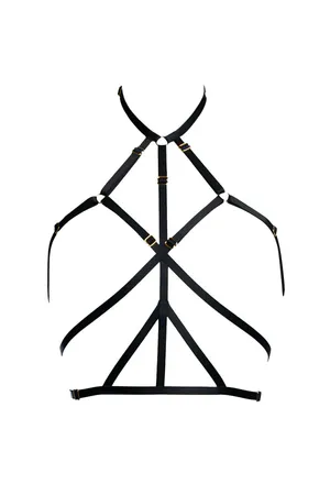 Waist - Chest - Neck Harness - APFT148