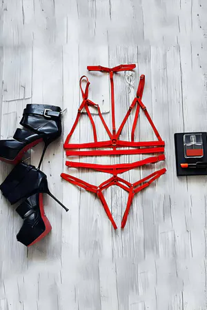 Red Strappy Harness Lingerie Set – Adjustable Bralette & Thong