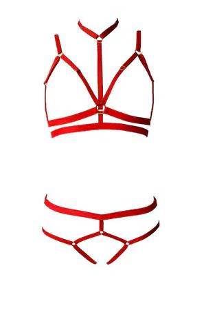 3 Piece Sexy Harness Bra Set - APFT144