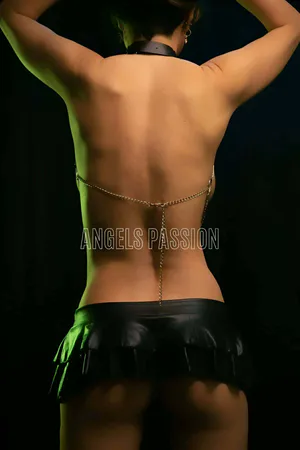 Stylish Harness with Chain Leash - APFT431