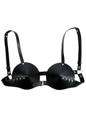 Stylish and Fancy Leather Bra - APFT250