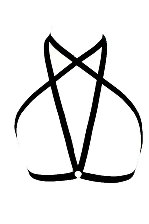 Special Design Harness - APFT97