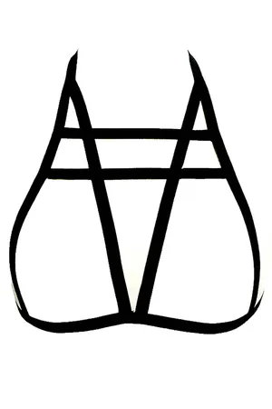 Special Design Harness - APFT96