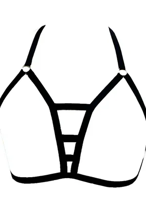 Special Design Harness- APFT92