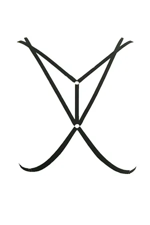 Special Design Harness - APFT88