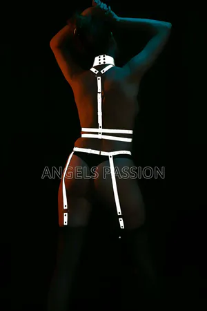 Special Reflective Leash Suspender Harness - APFT233