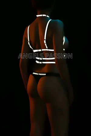 Reflective Chest Harness Glow in the Dark Harness - APFT430