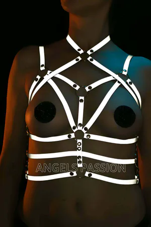 Reflective Chest Harness Glow in the Dark Harness - APFT430