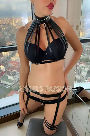Stylish and Attractive Harness Garter Bustier Set - APFT552