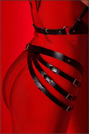 Dress Belt, Stylish Women's Leather Belt, Stylish Belt Harness Suit - APFT1139