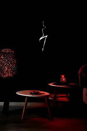 Reflective Female Figure Leather Wall Painting