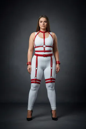 Plus Size Red Women's Harness Set with Garter and Ring Detail - APFT697